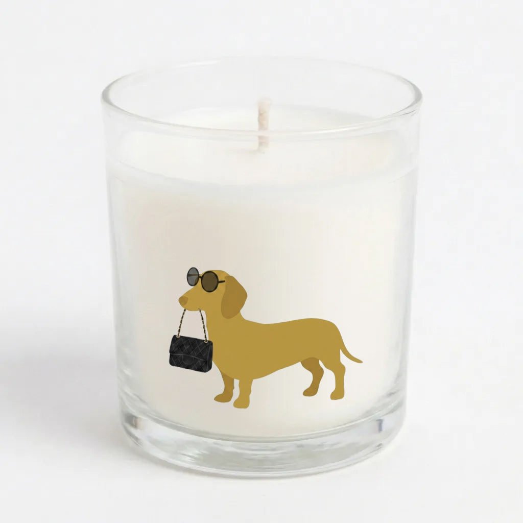 Pawsh Dachshund