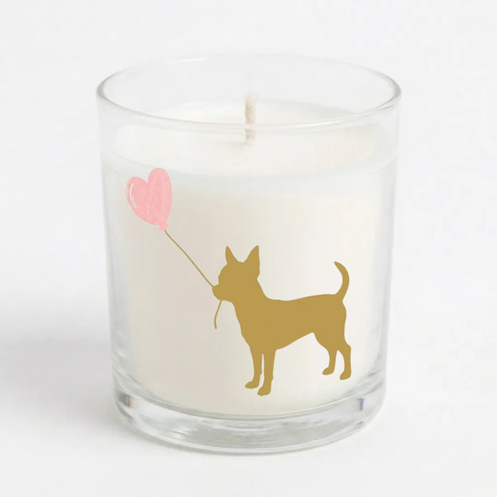 Love is a Chihuahua