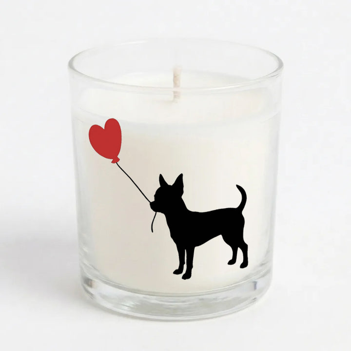 Love is a Chihuahua