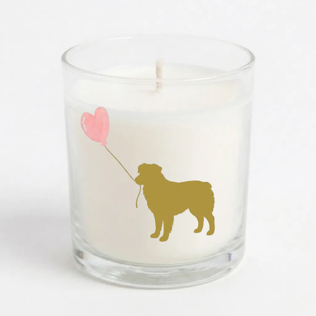 Love is an Australian Shepherd