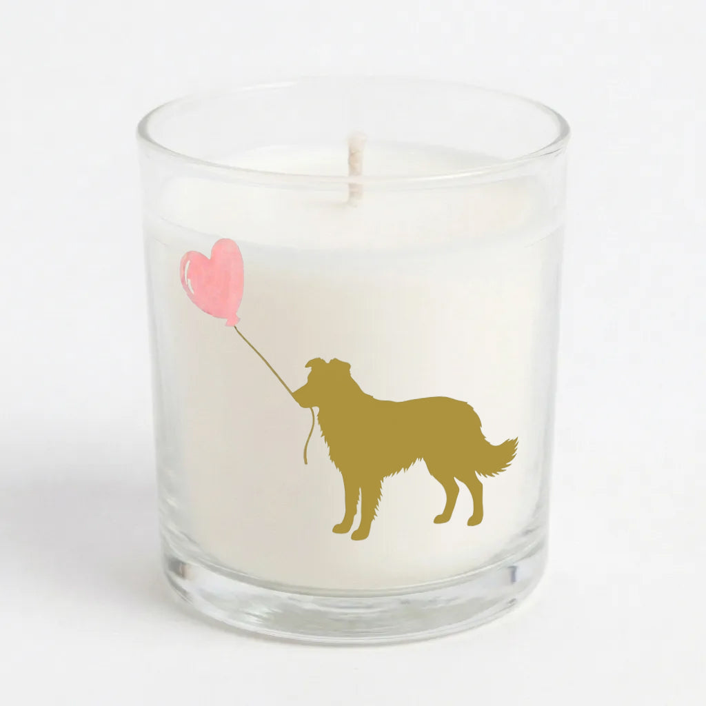 Love is a Border Collie