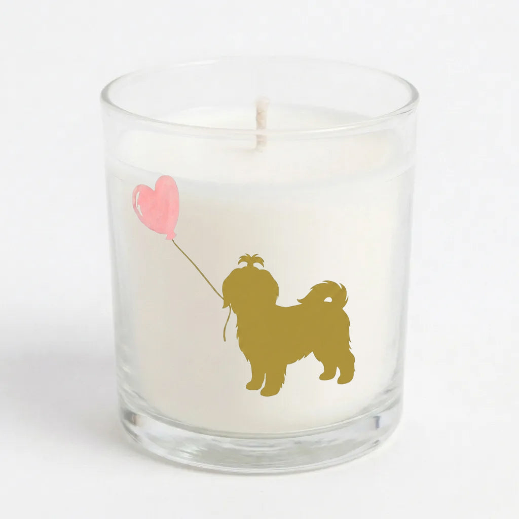 Love is a Maltese