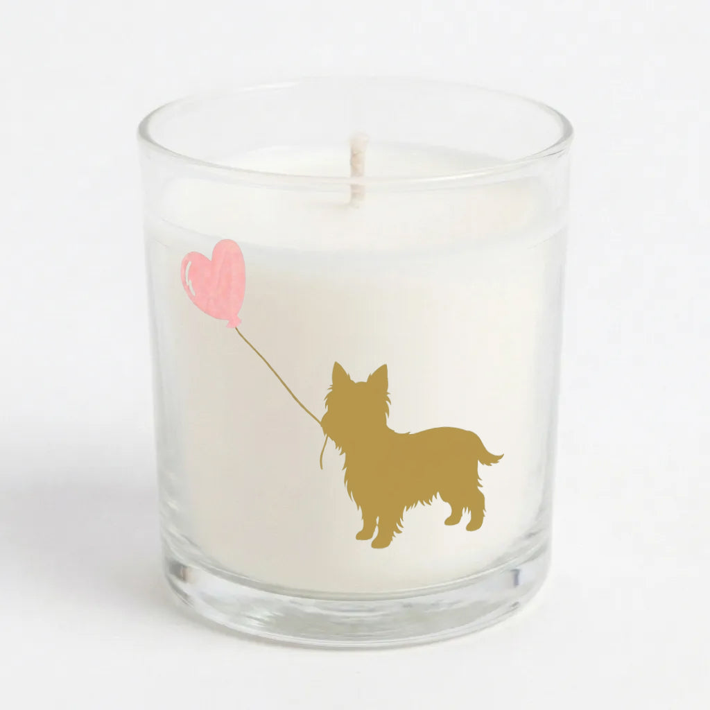 Love is a Yorkie